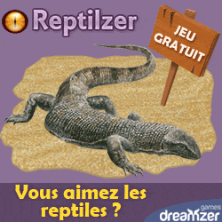 Reptilzer: gioco gratis su Internet, occuparsi  di un rettile
