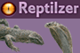 Reptilzer: gioco gratis su Internet, occuparsi  di un rettile